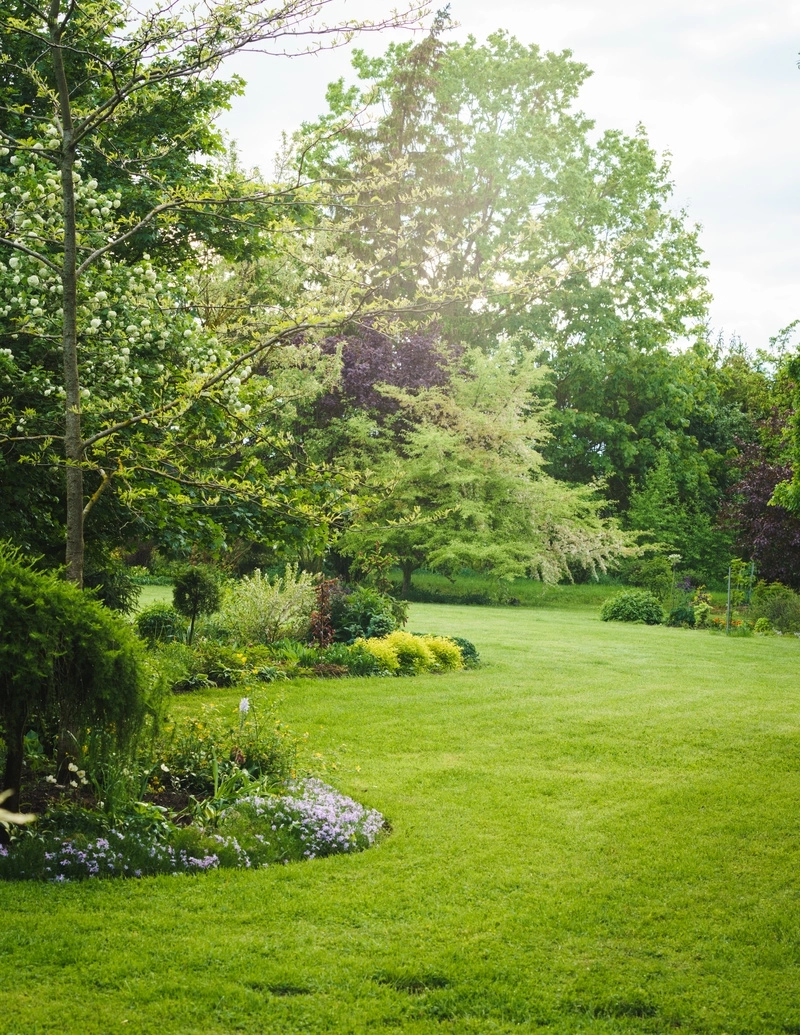 Entretien de jardin