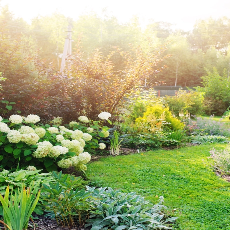 Création de jardin